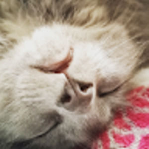 Meet your Posher, Faith